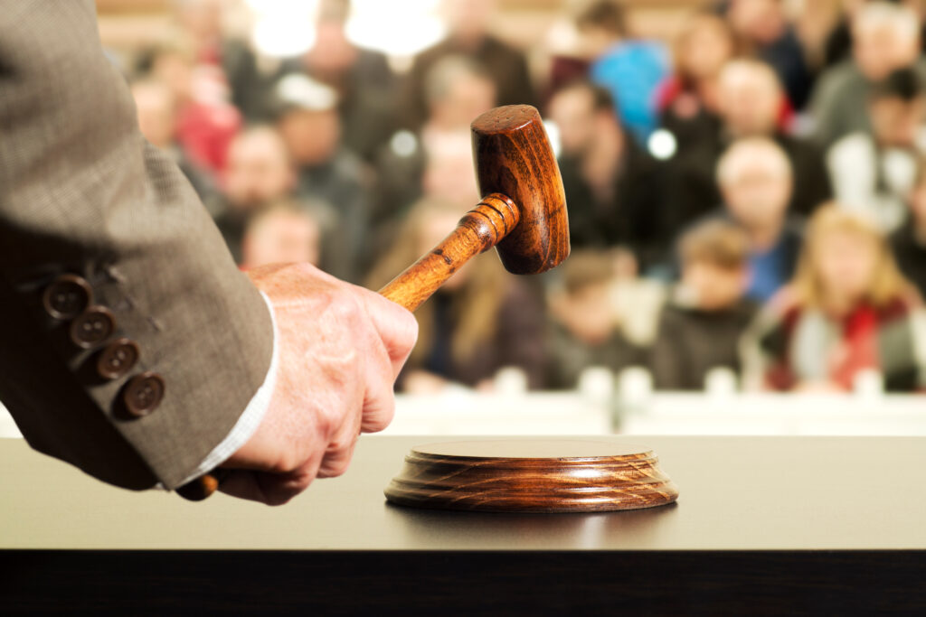 Professional Auction Services
